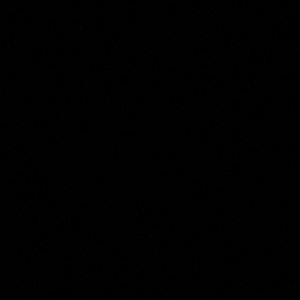 Meet your Posher, Griz